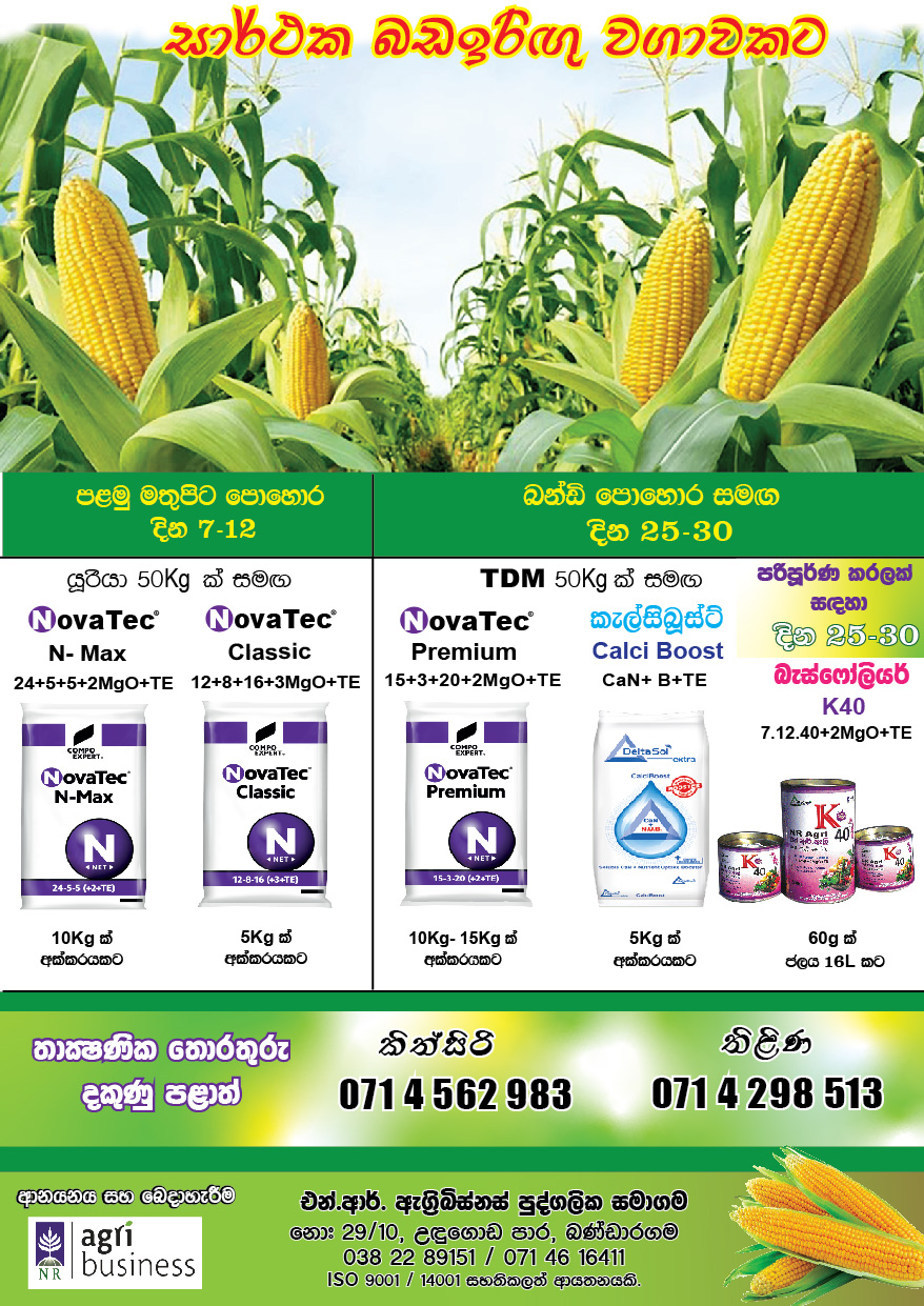 Corn Fertilizer Recommendation – Poster 02